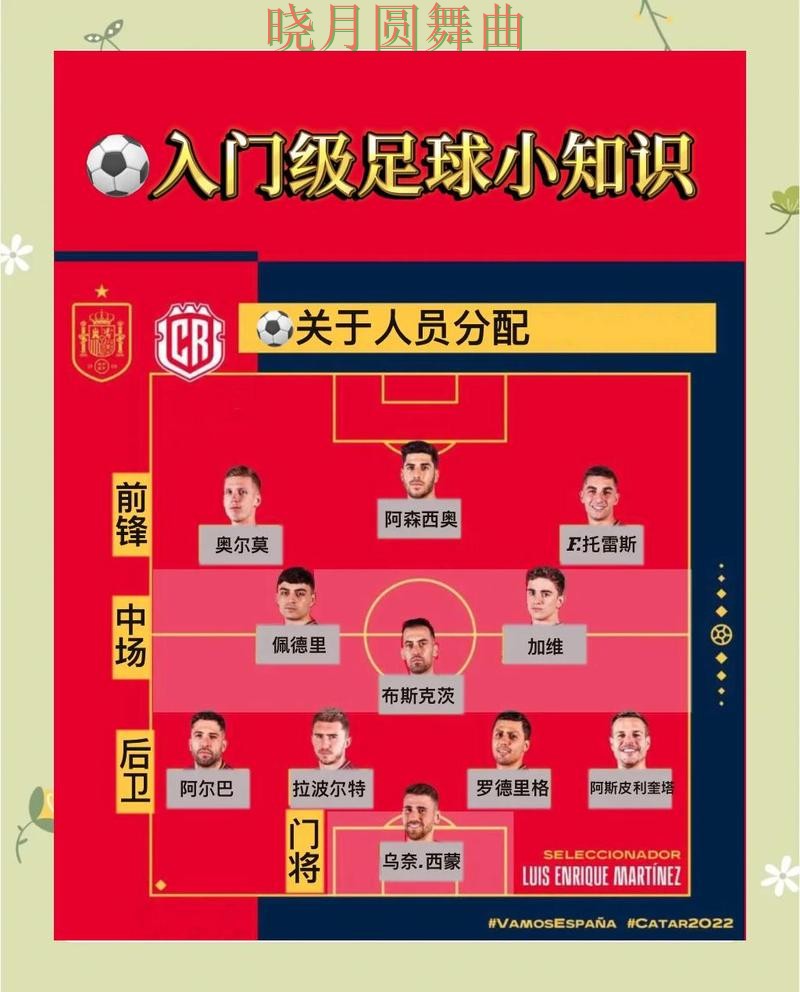 世界杯投注官网新手最容易踩的坑有哪些，操作方法总结